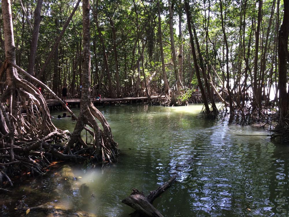 Mérida - In search of flamingos and lizards