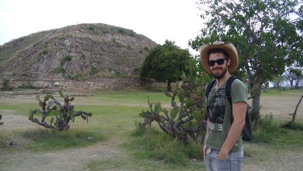 teachers on strike and sexy trees in Oaxaca