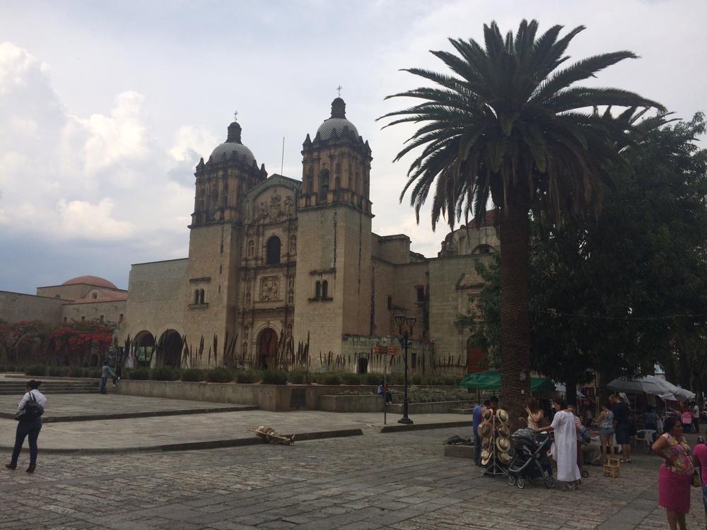 teachers on strike and sexy trees in Oaxaca