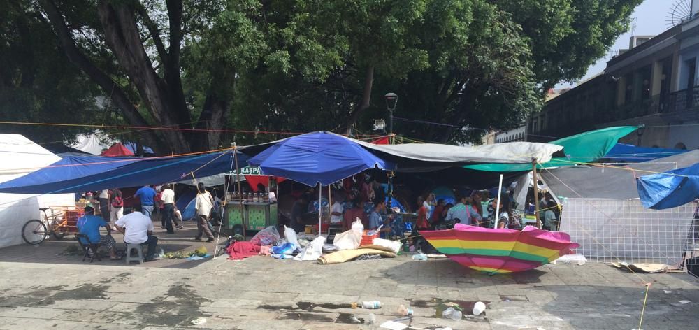 teachers on strike and sexy trees in Oaxaca