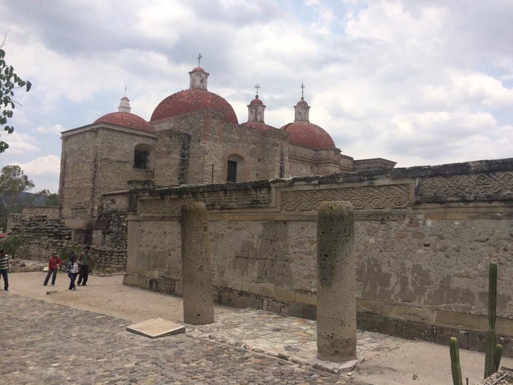 teachers on strike and sexy trees in Oaxaca