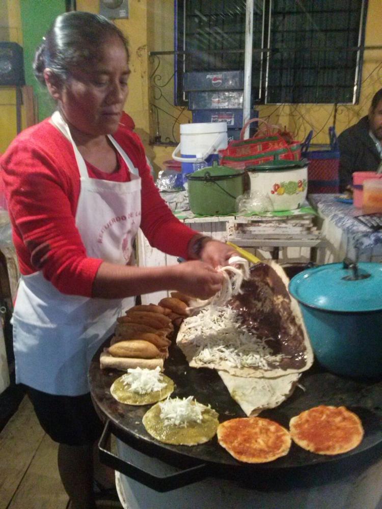 teachers on strike and sexy trees in Oaxaca