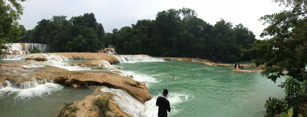 The green hell of Palenque