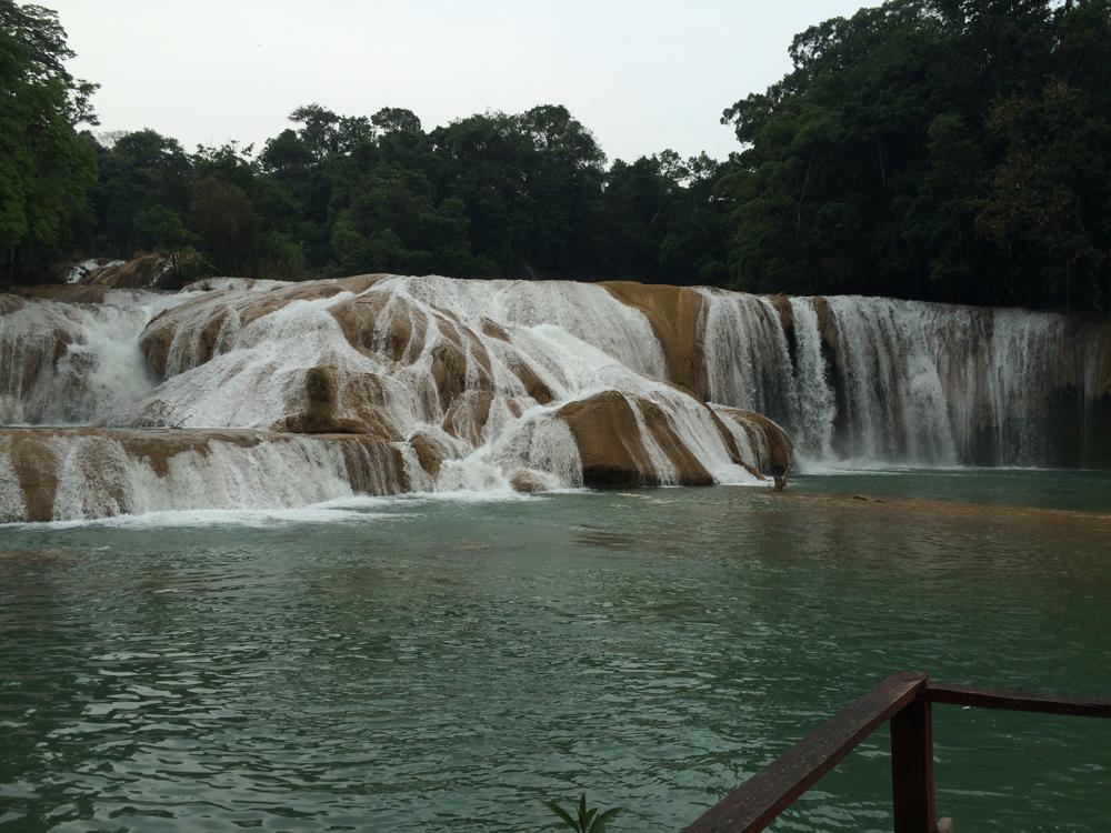 The green hell of Palenque