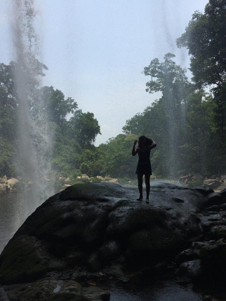 The green hell of Palenque