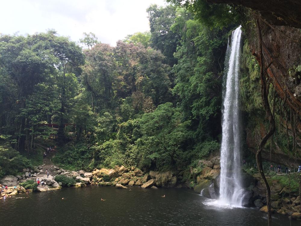 The green hell of Palenque