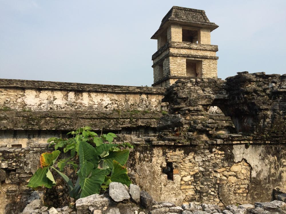 The green hell of Palenque