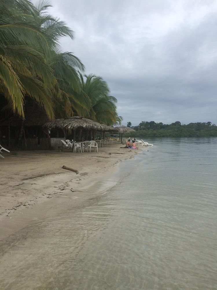 Starfish in Bocas del Toro