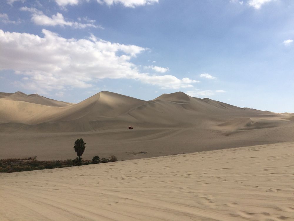 Huacachina - A tiny oasis in the desert