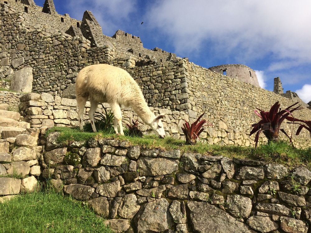 Majestic Machu Picchu