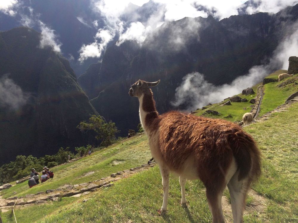 Majestic Machu Picchu