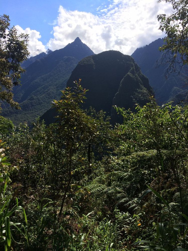 Majestic Machu Picchu