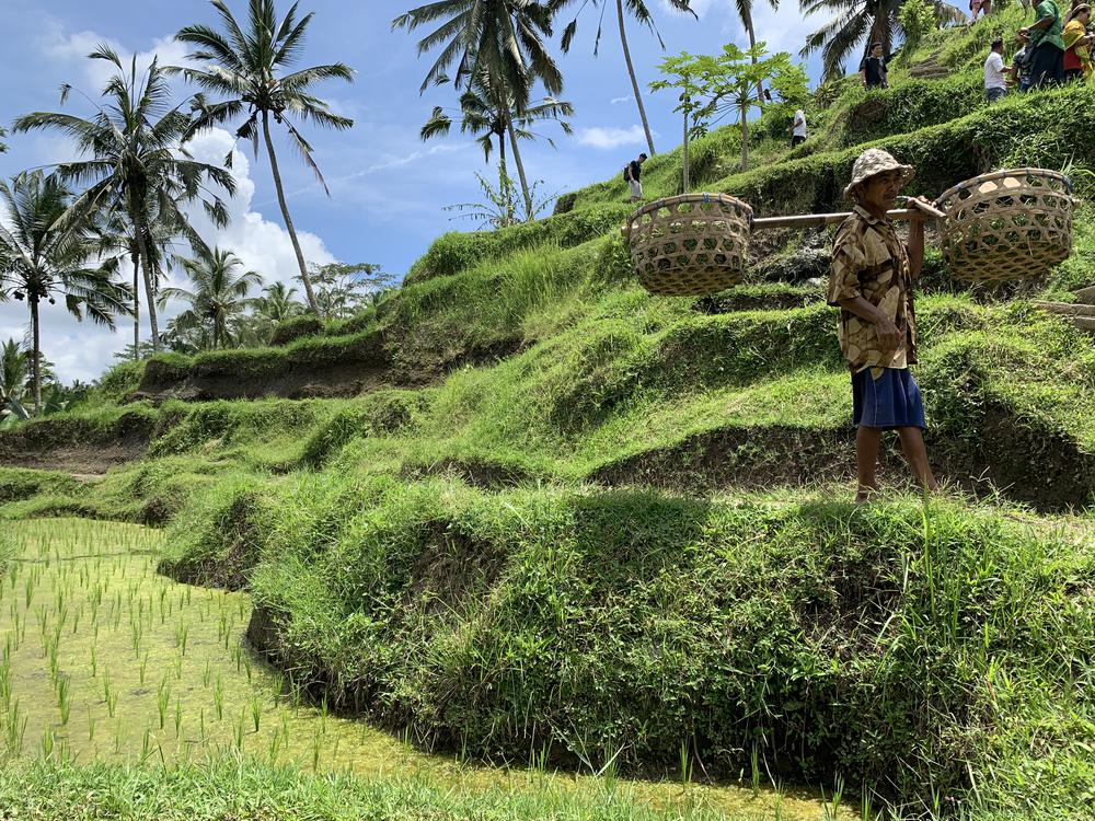 Bali - The biggest tourist hell!