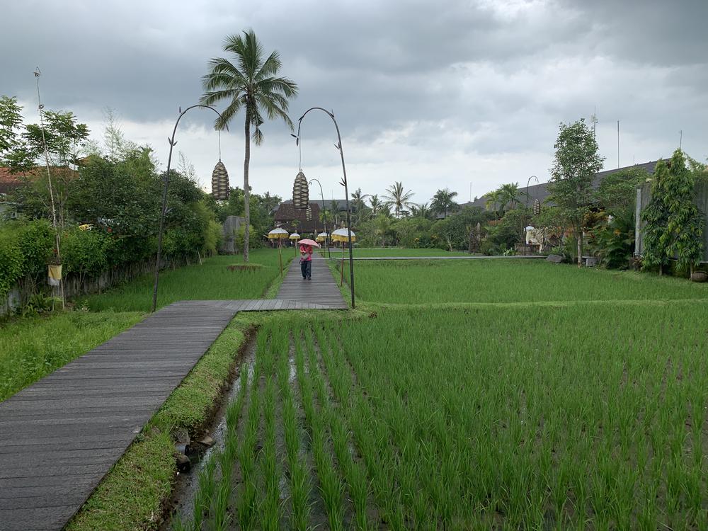 Bali - The biggest tourist hell!