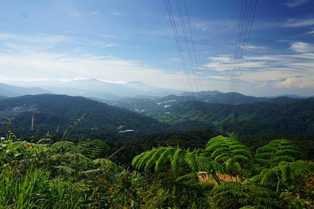 Cameron Highlands - Cool air, tea & strawberries