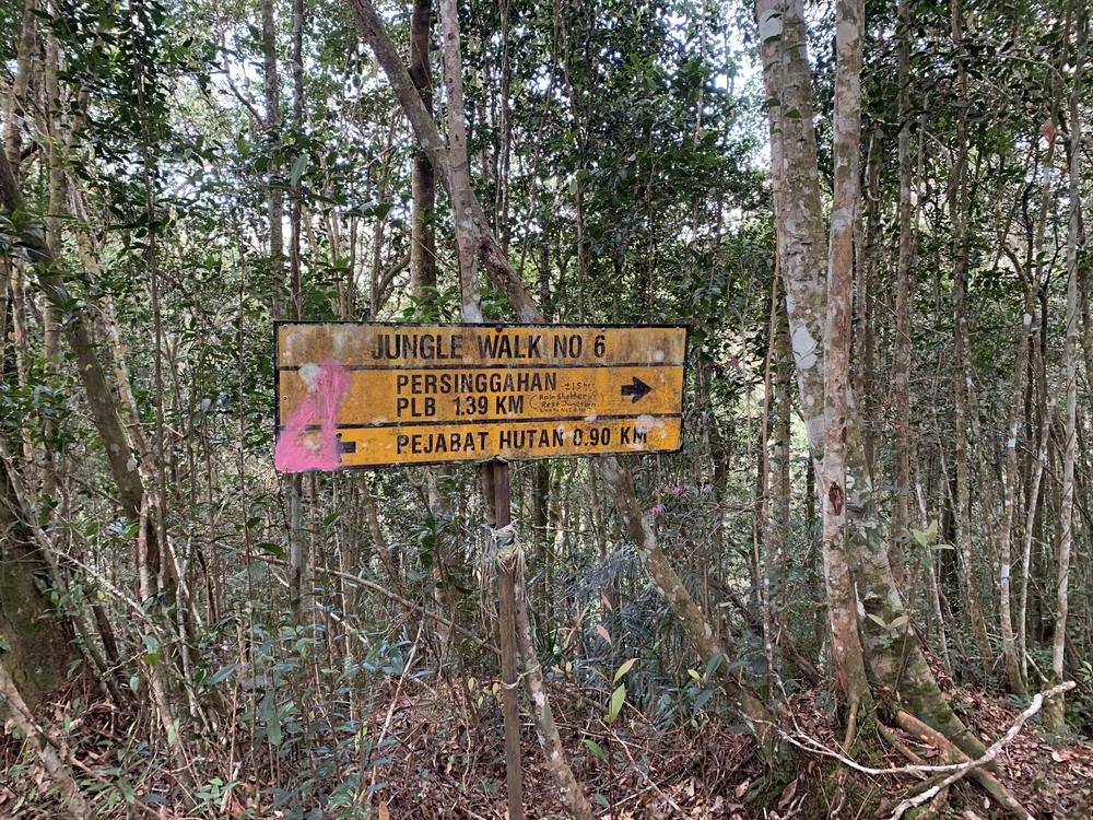 Cameron Highlands - Cool air, tea & strawberries