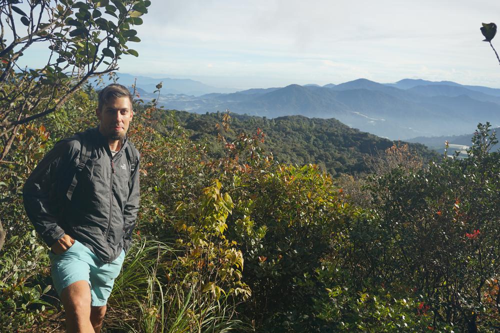 Cameron Highlands - Cool air, tea & strawberries