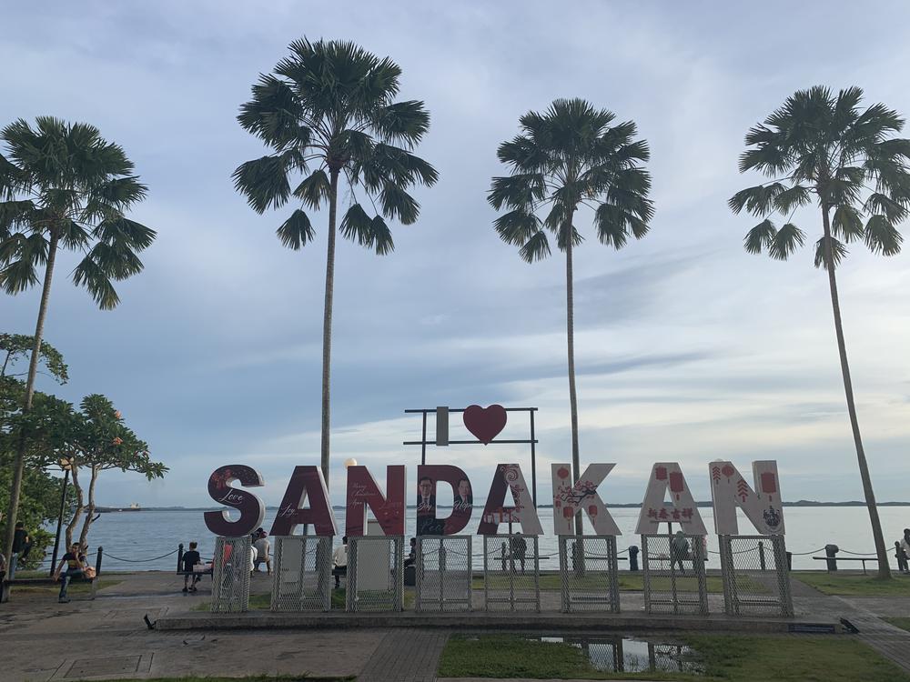 Meeting Orangutans in Sandakan