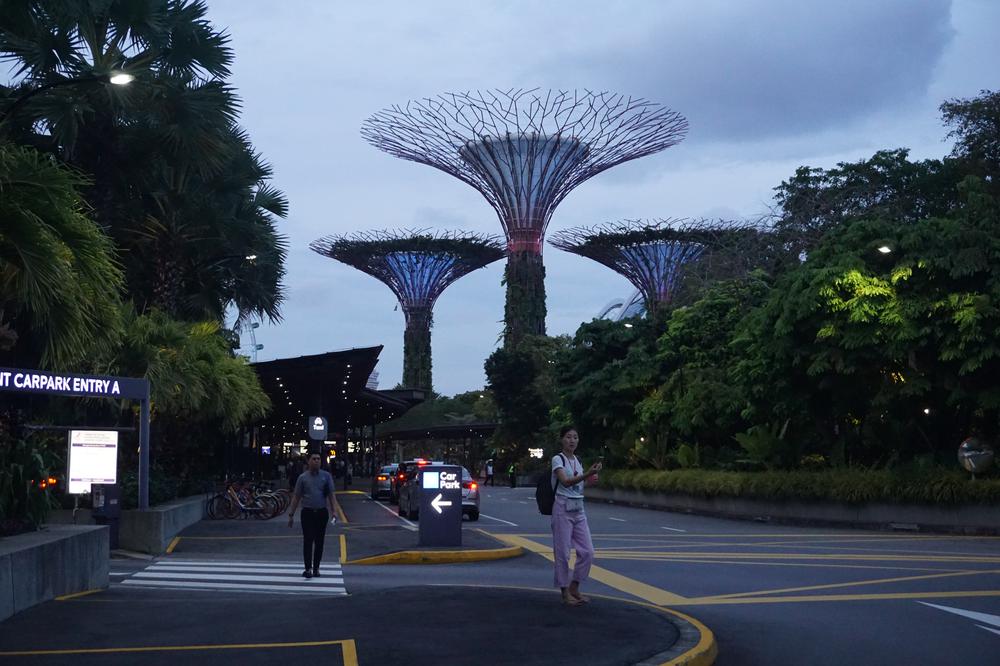 Green & sustainable - Gardens By The Bay