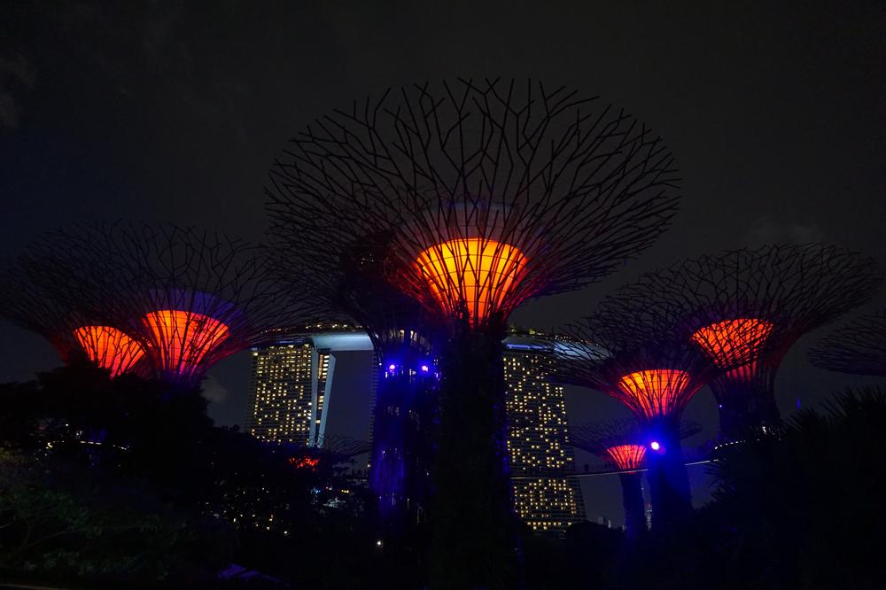 Green & sustainable - Gardens By The Bay