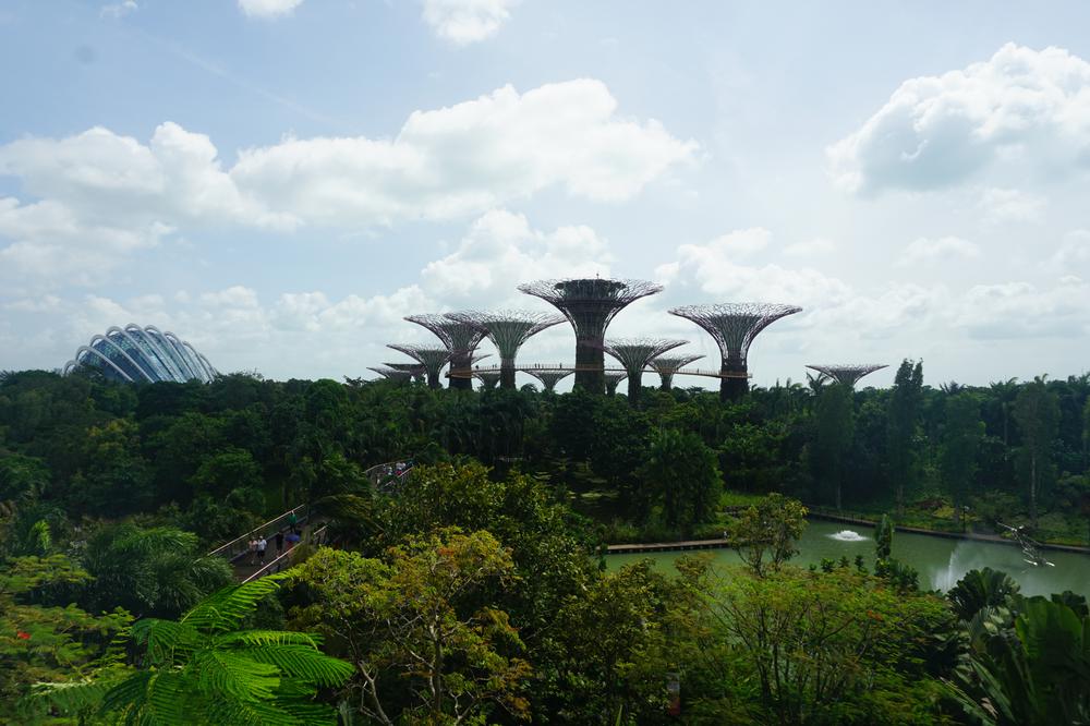 Green & sustainable - Gardens By The Bay