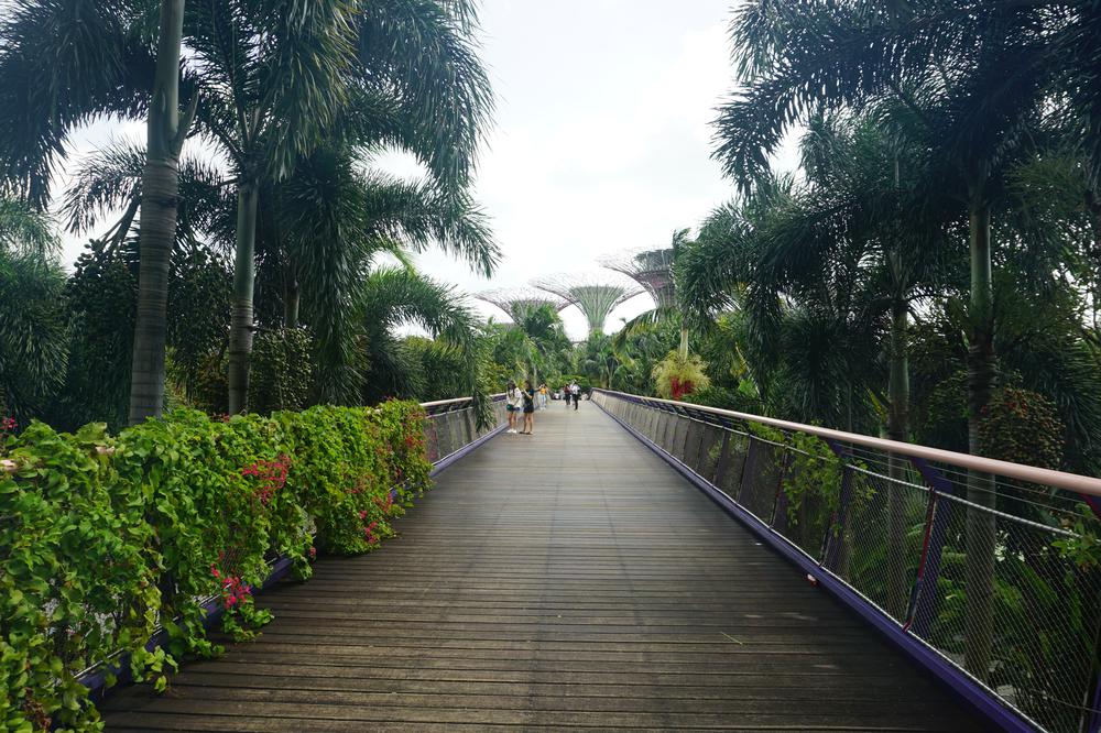 Green & sustainable - Gardens By The Bay