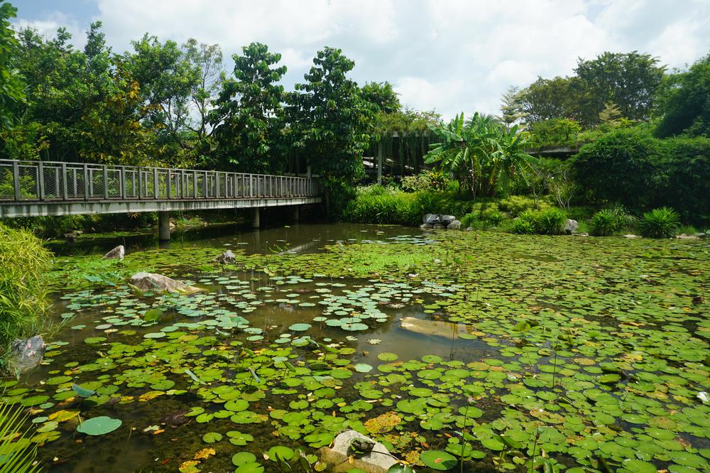 Green & sustainable - Gardens By The Bay