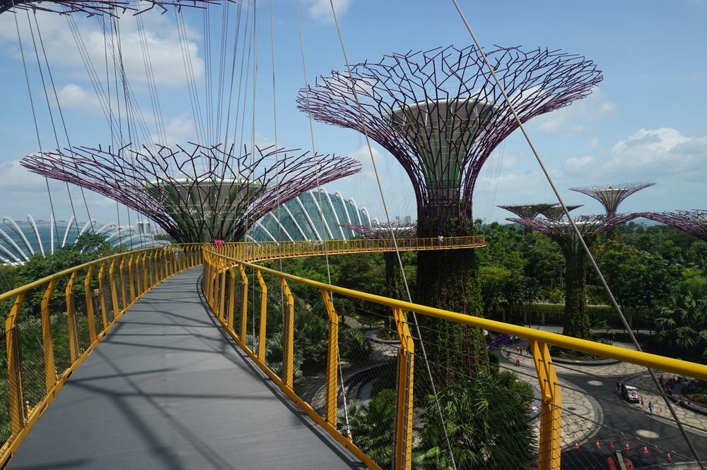 Green & sustainable - Gardens By The Bay