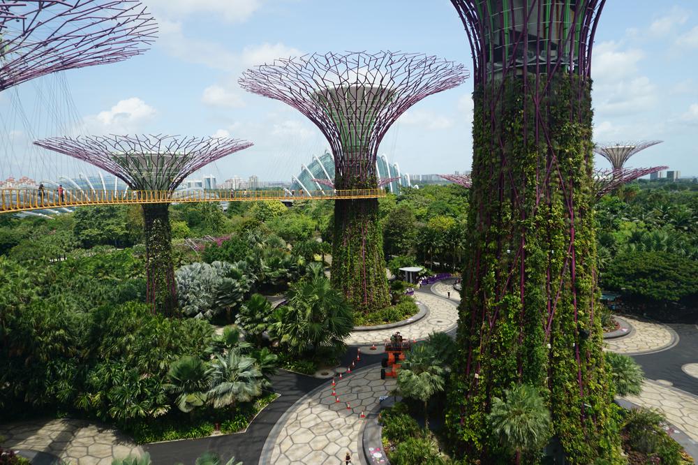 Green & sustainable - Gardens By The Bay