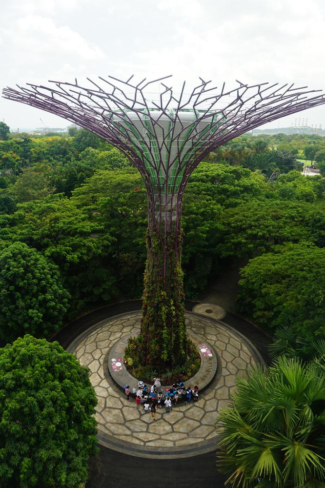 Green & sustainable - Gardens By The Bay