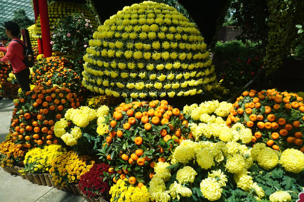 Green & sustainable - Gardens By The Bay