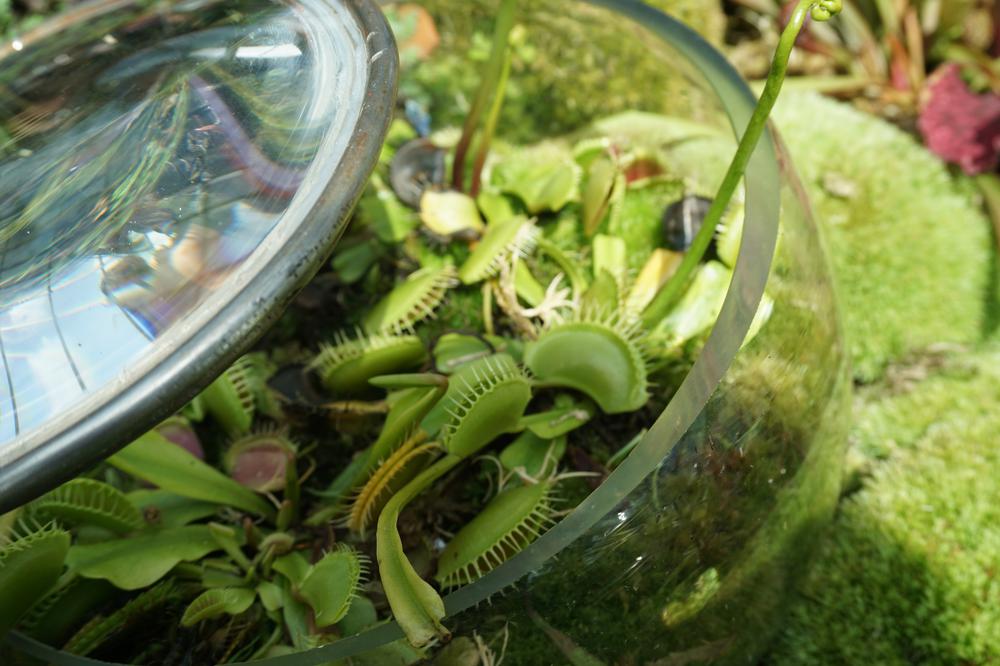 Green & sustainable - Gardens By The Bay